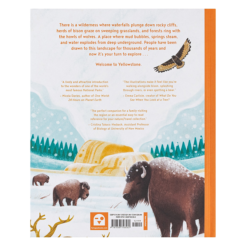 【现货】黄石公园 【Earth‘s Incredible Places】Yellowstone英文儿童绘本Catherine Ard Flying Eye Books - 图2