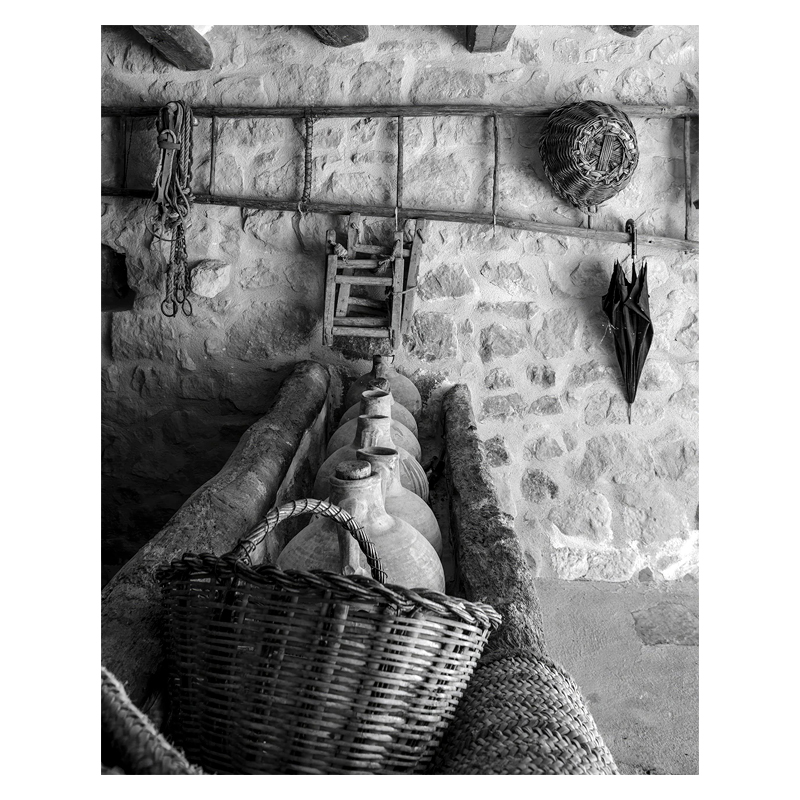 【现货】毕加索与米罗：灵感与创作之地 Horta Picasso Miro Mont-Roig 原版英文摄影 - 图1
