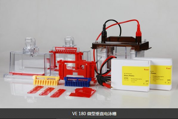 正品上海天能VE180垂直电泳槽蛋白电泳槽 整套 0.75/1.0/1.5mm