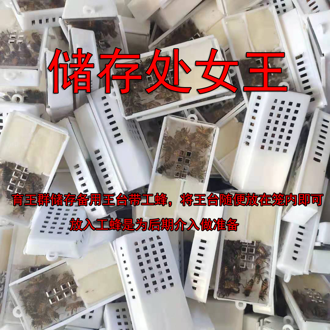 邮寄王笼包邮 邮寄蜂王炼糖 中蜂意蜂王笼 邮寄囚王笼  炼糖 包邮 - 图1