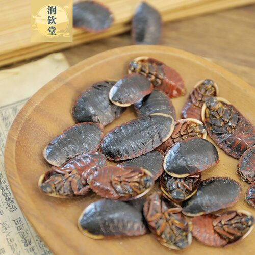 金边土鳖虫中药材金边土元500g克精选双边土鳖虫地乌龟土别虫土必 - 图1