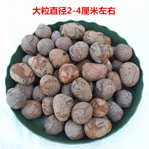 陶粒 防烂根透气 花卉陶粒花盆垫底 铺面 水培卫生间回填陶粒包邮 - 图2