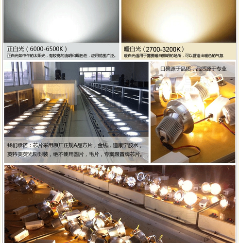1瓦3W高亮LED光宏灯珠 正白暖白 led灯珠 大功率灯珠光源光宏灯泡 - 图2
