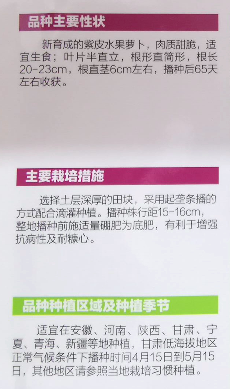 凤梨好吃萝卜种子紫美人红萝卜种籽秋季播种红皮红瓤红心生吃 - 图0