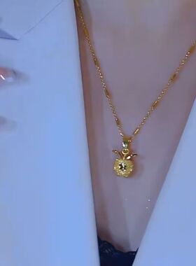 新款钛钢苹果吊坠项链女轻奢感时尚百搭气质平安苹果锁骨链项