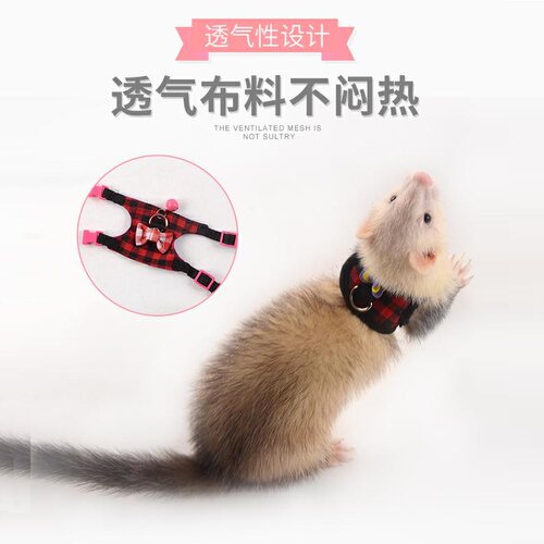 宠物貂牵引绳外出绳土拨鼠雪貂背心外出牵引绳侏儒兔子背心外出绳 - 图0