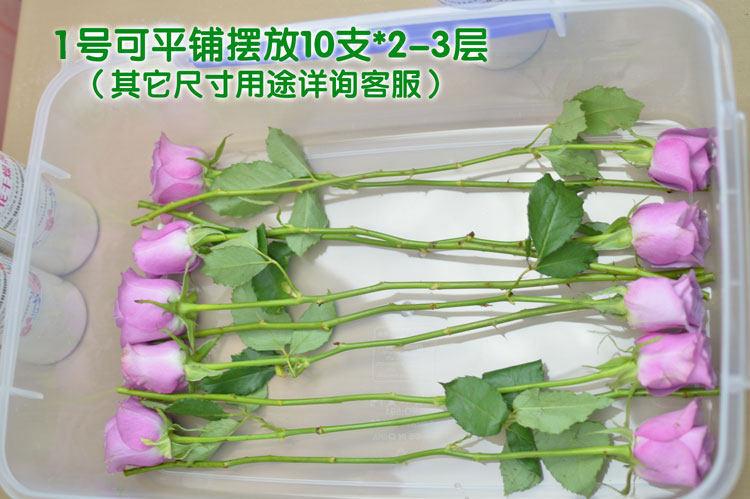 雀鹊diy干花永生花植物制作密封干燥盒整支玫瑰连带枝条长条保鲜