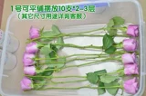 [雀鹊DIY干花永生花植物制作密封干燥盒整支玫瑰连带枝条长条保鲜]