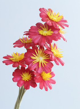 云南干花手工粘接花小葵花瓜子花ins风家居民宿装饰客厅摆件插花