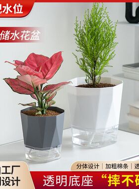 跨境塑料透明懒人自动吸水花盆