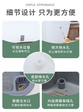 阳台种菜盆家庭蔬菜种植盆专用箱