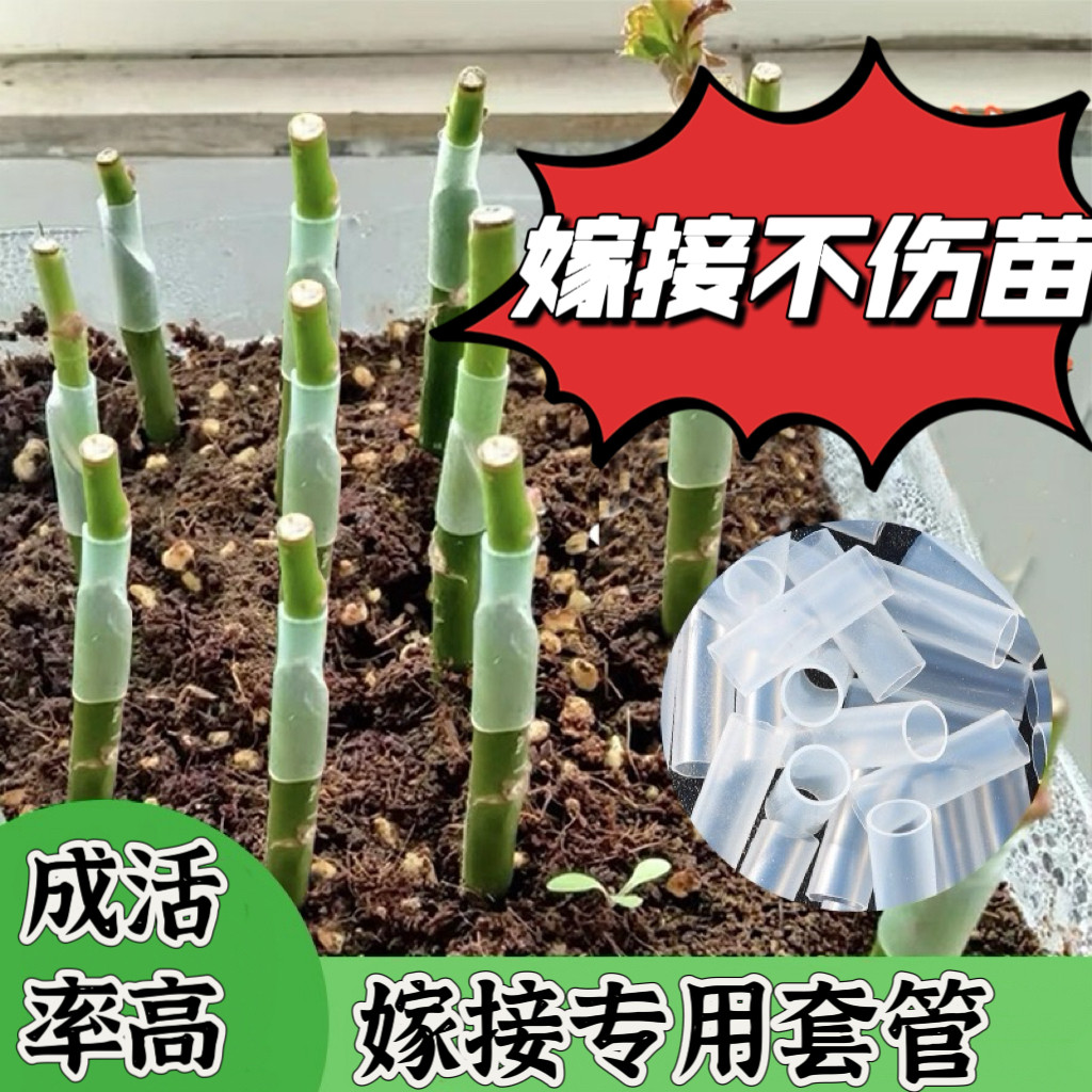 植物嫁接专用套管花卉果蔬植物嫁接通用硅胶软管有弹性免缠膜,淘宝优惠券,粉丝福利购,淘宝优惠卷