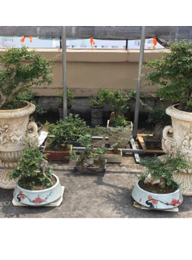 别墅花园户外装饰品仿真花瓶
