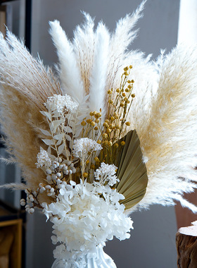 美拉德真花干花花束大束桌面自然装饰摆件北欧客厅芦苇家居装饰