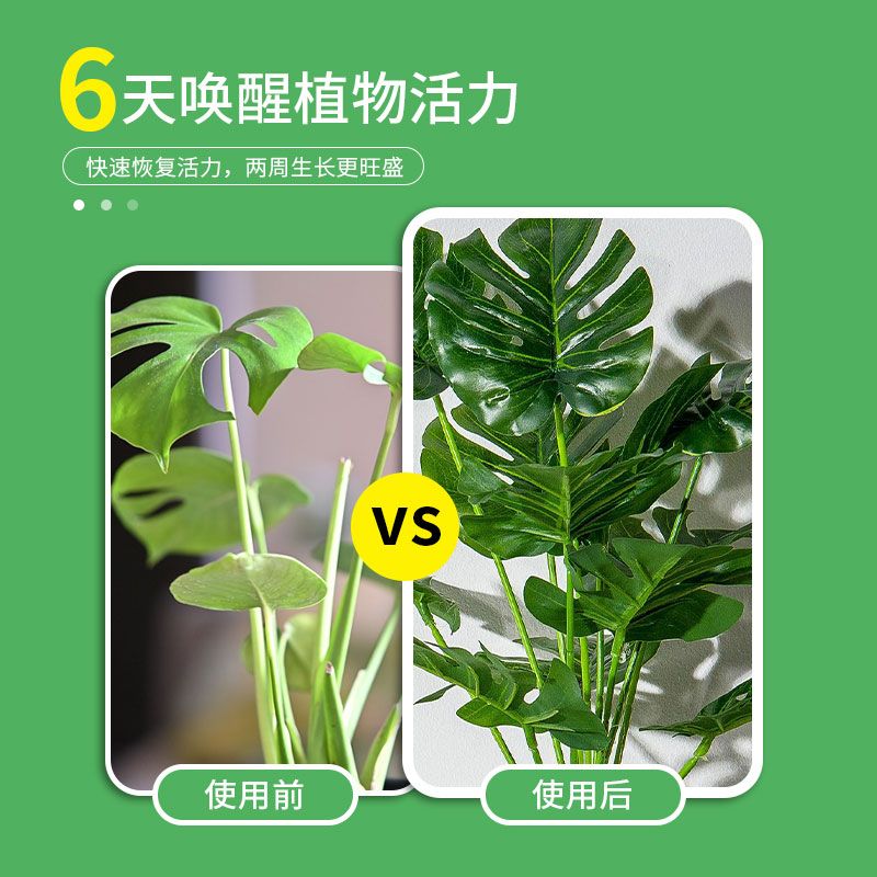 通用营养液植物盆栽养花绿萝君子兰花水培土培绿植发财树多肉花肥 - 图1