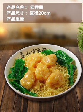新款仿真食品馄饨模型装饰道具