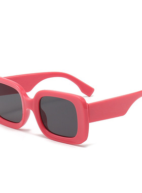 保罗雷朋官网2025新款窄框墨镜sunglasses方框墨镜女高级感时尚太