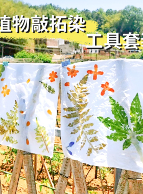 植物树叶拓染DIY花草印染工具