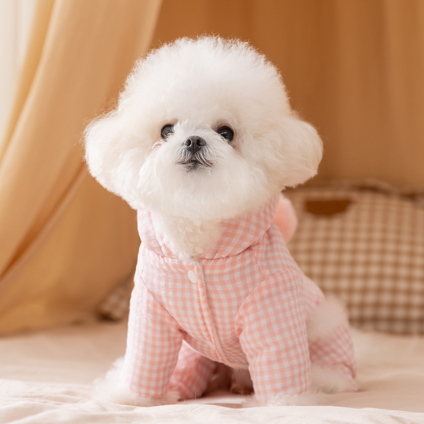 小狗狗衣服冬装加厚保暖泰迪比熊雪纳瑞小型犬宠物四脚棉衣秋冬天 - 图2