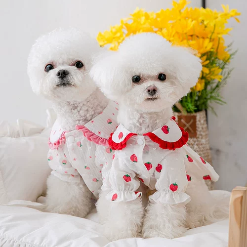 Милая клубника для принцессы, летнее тонкое платье, домашний питомец