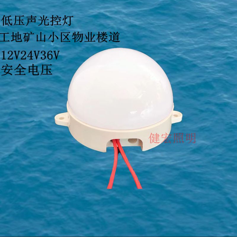 低压声光控LED太阳能供电的声光控感应灯楼道灯12v24v36v节能灯-图1