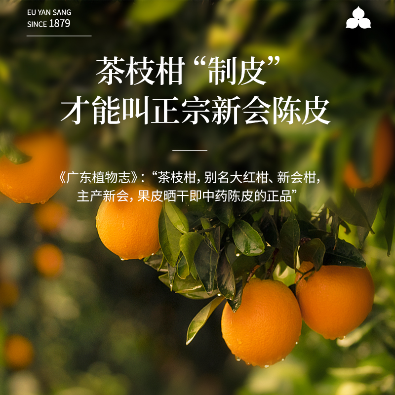 余仁生陈皮正宗10年新会陈皮广东特产橘皮泡水养生茶老陈皮茶50g