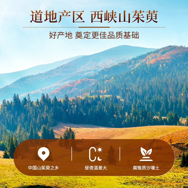 余仁生山茱萸冲泡茶水喝正宗茱萸肉中药材干货正品罐装官方旗舰店