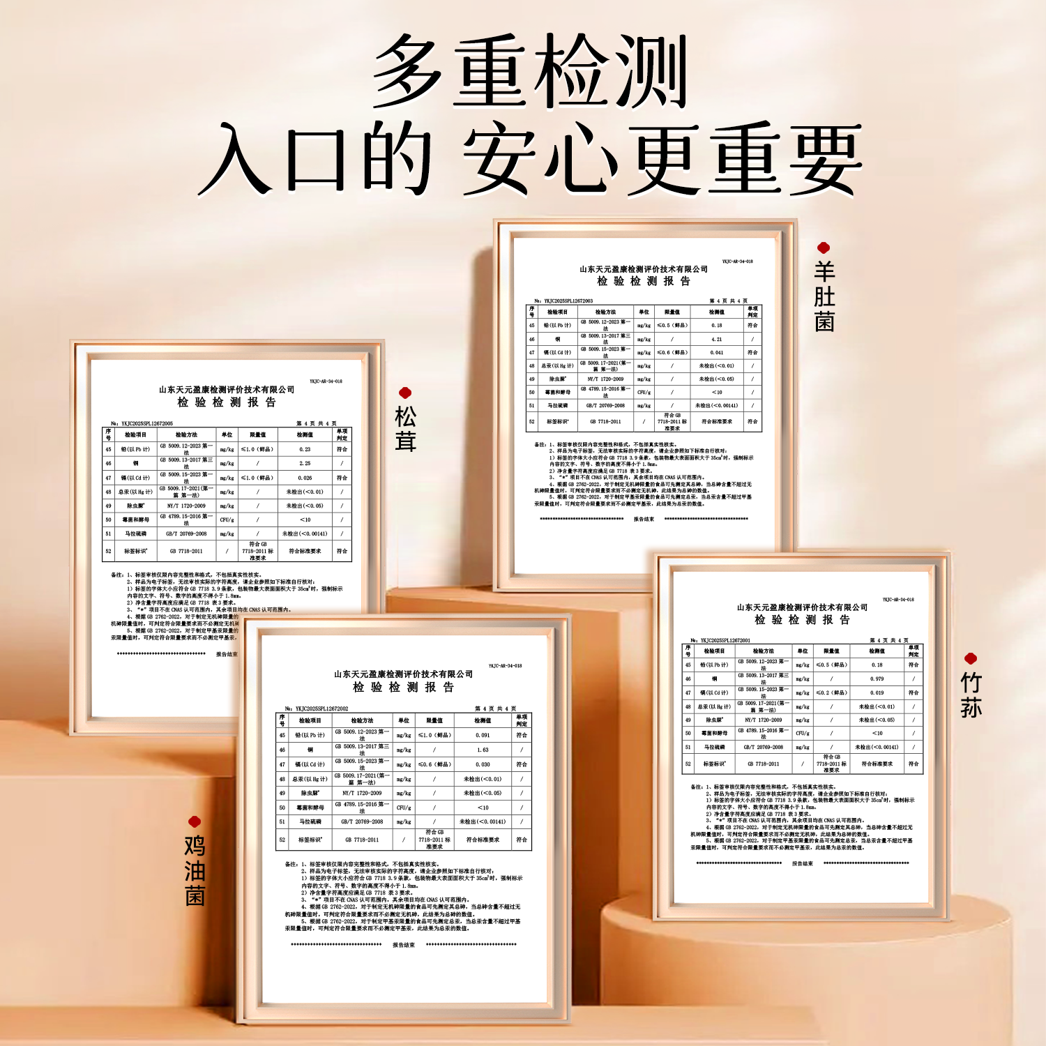 【交个朋友年货节】余仁生福茸双至菌菇礼盒95gZB,淘宝优惠券,粉丝福利购,淘宝优惠卷