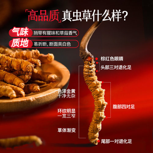 余仁生冬虫夏草干货送礼礼盒官方正品天然虫草50#10g约50根送长辈 - 图1