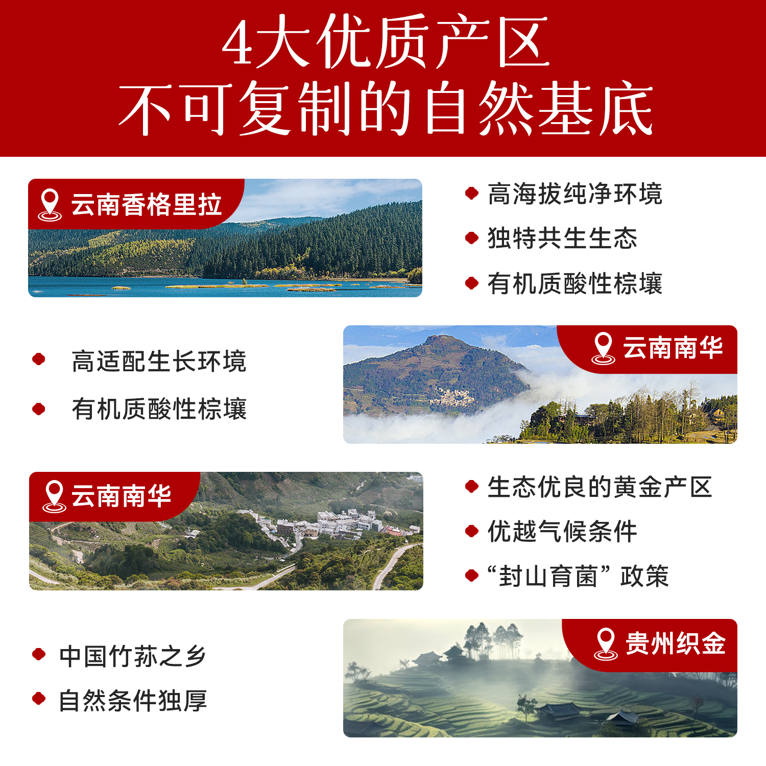 【交个朋友年货节】余仁生福茸双至菌菇礼盒95gZB,淘宝优惠券,粉丝福利购,淘宝优惠卷