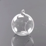 Прозрачная стеклянная бутылка микроамбэпля является гидропонным растением