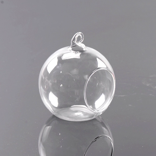 Прозрачная стеклянная бутылка микроамбэпля является гидропонным растением