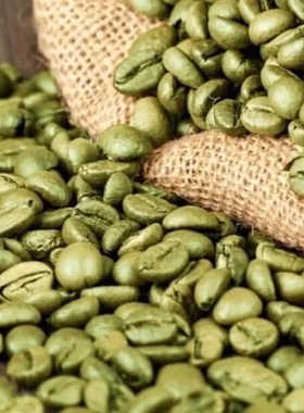 初榨绿咖啡籽油CoffeeOil