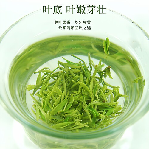 君子水秀芽2026新茶秀牙茶叶毛尖特级特产礼盒装重庆永川绿茶散装 - 图2