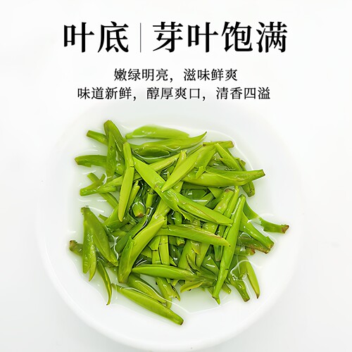 雀舌2026春茶新茶四川茶叶一芽一叶特级全芽嫩芽绿茶礼盒蒙顶石花 - 图2