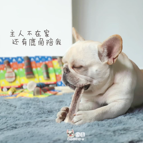 Fuzzyard Fuhiya Импортировал натуральные рога щенков, щенков, щенков, шлифования зубов чистые закуски зубов