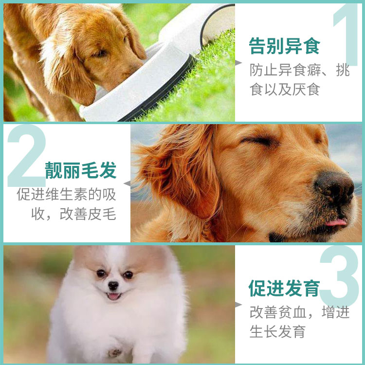 巴迪螯和微量元素补充缺营养元素防止宠物吃便石子吃土犬猫异食癖 - 图1