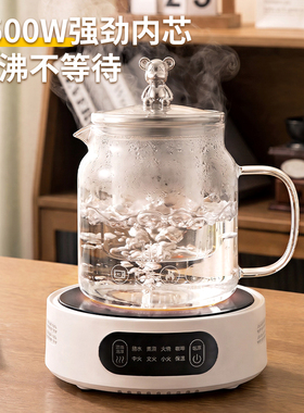2026新款全玻璃多功能养生壶