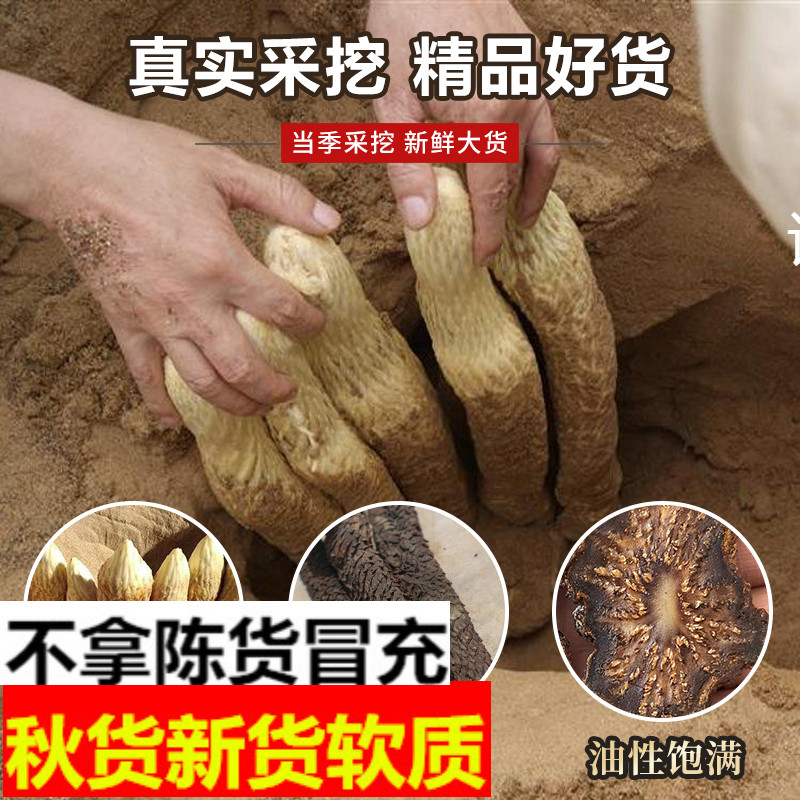 肉苁蓉阿拉善油性整根500g男性滋补泡酒汤料非特级锁阳淫羊藿正品 - 图1