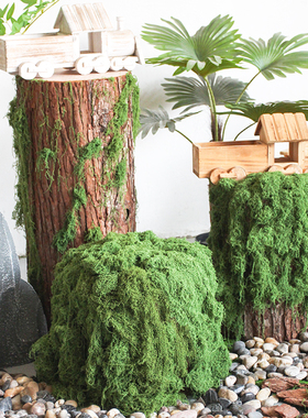 空心树桩摆件装饰造景摆放道具