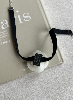 赫本风气质优复古黑白玫瑰花极简CHIC风项圈脖带锁骨链choker小香