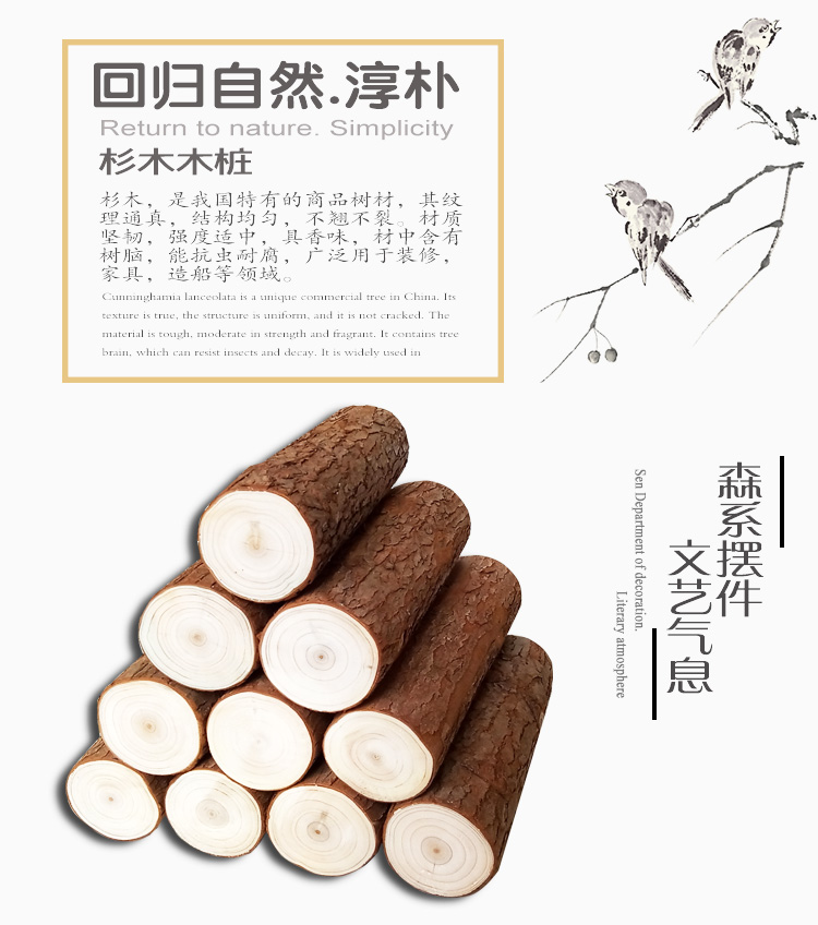 小木桩摆件纯天然杉木树桩包邮创意摄影婚庆道具壁炉装饰家具饰品 - 图0