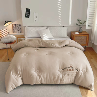 小棉芯！A类新疆棉棉花被