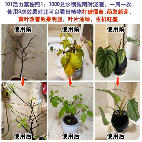 原装HB101植物营养液活力素促长多肉僵苗快速生根液养花绿植通用 - 图1