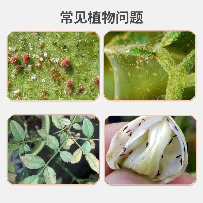 护花匠花木易红蜘蛛专用螨类杀虫剂天然植物害虫窒息剂绿植蔬菜用,淘宝优惠券,粉丝福利购,淘宝优惠卷