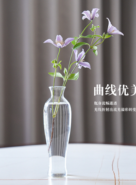 新中式小口玻璃花瓶禅意插花摆件