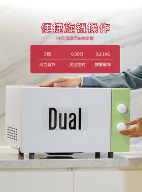 帝而DUAL清新微波炉家用
