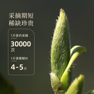 【爆款】品品香茶叶福鼎白茶2023年明前白毫银针茶50g