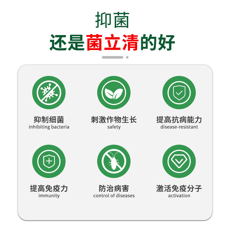 菌立清微生物菌剂新型杀菌剂根腐枯黄灰霉病紫斑叶斑病农用杀菌剂