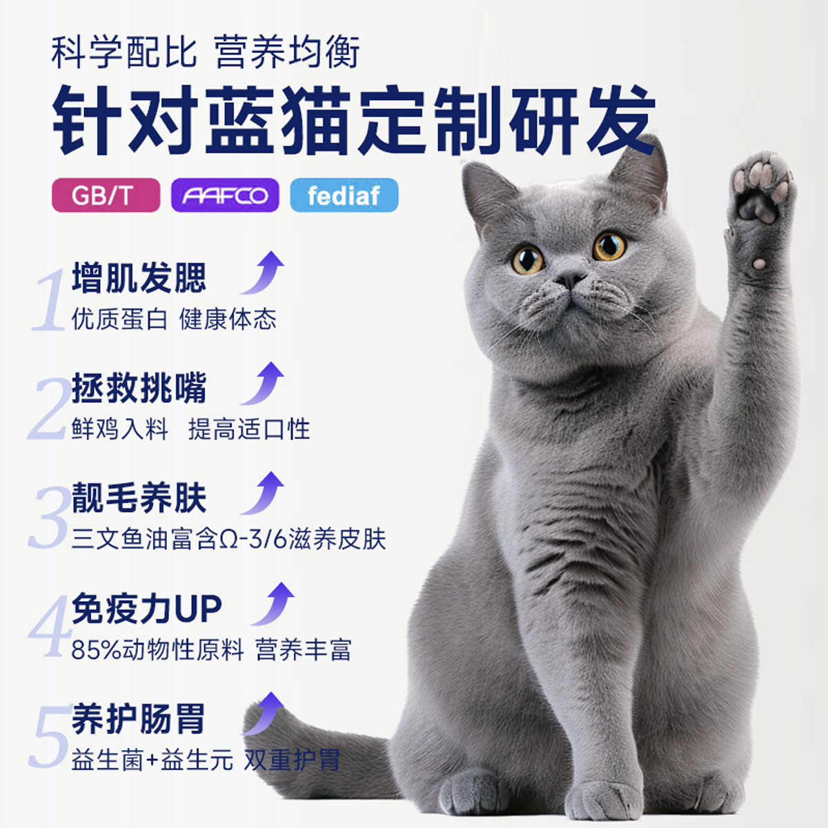 英短美短5斤猫粮幼猫成猫离乳期2.5公斤全猫粮冻干款蓝猫通用 - 图0